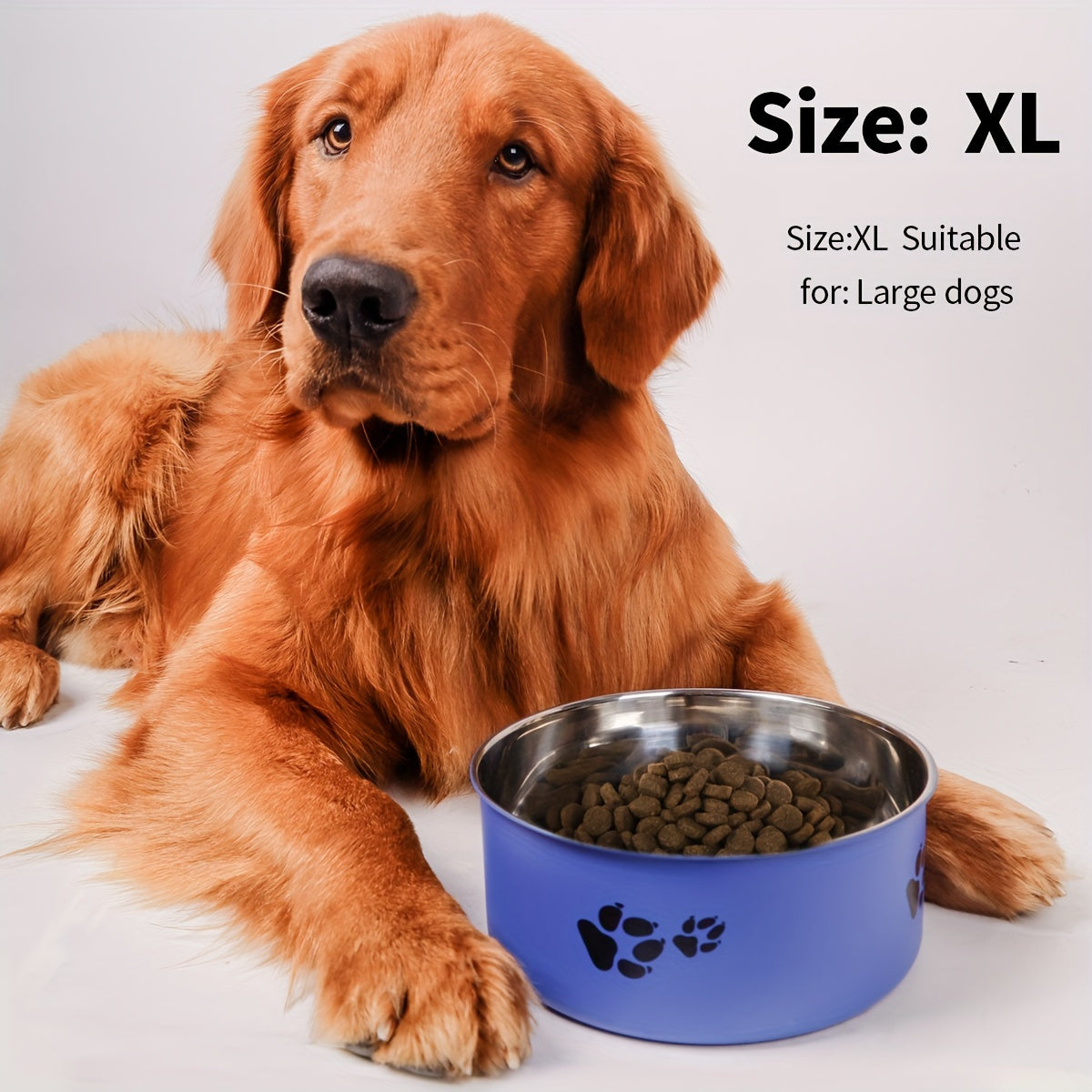 Comedero Antideslizante de Acero Inoxidable para Perros