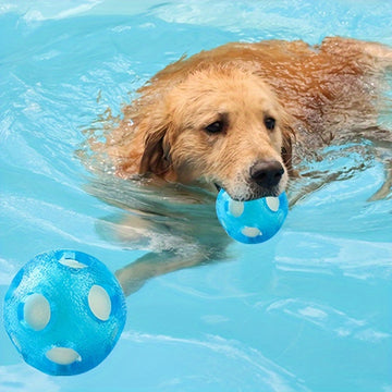 Juguete Interactivo Flotante para Perros Medianos