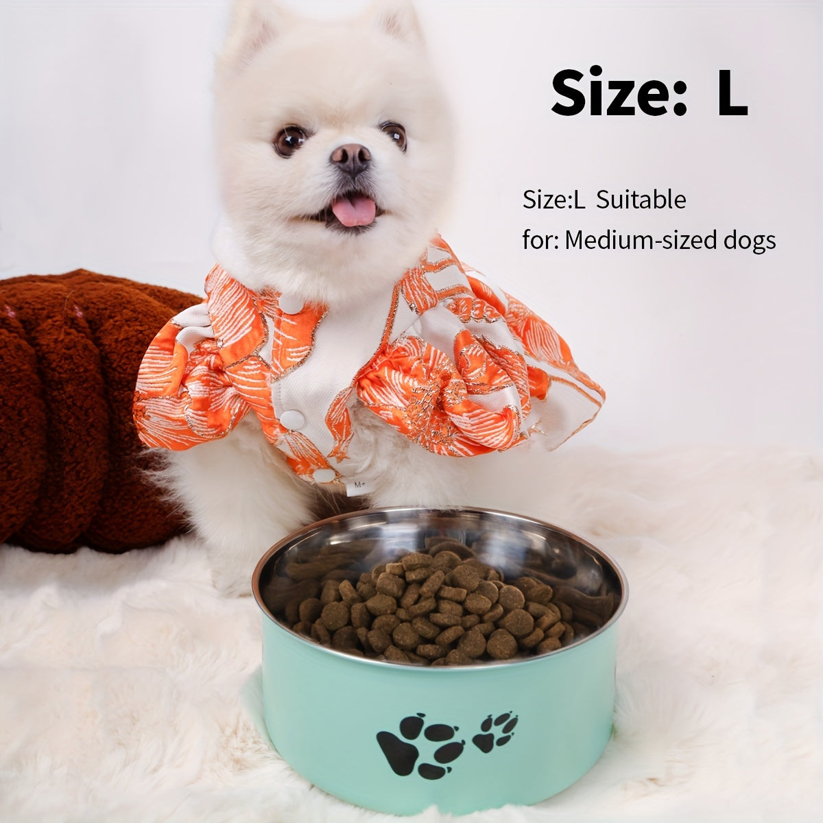 Comedero Antideslizante de Acero Inoxidable para Perros