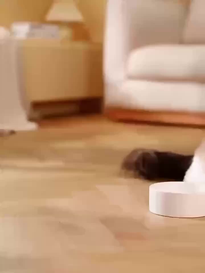 Dispensador Automático 2 en 1 para Mascotas