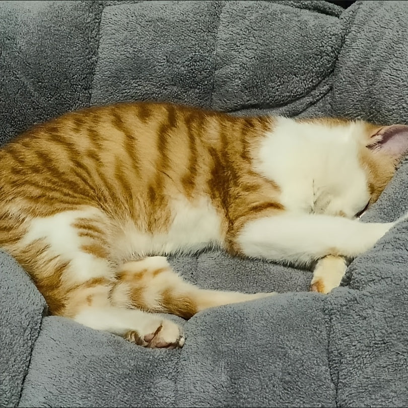 Cama Reversible para Perros, Gran Confort Todo el Año, 40kg