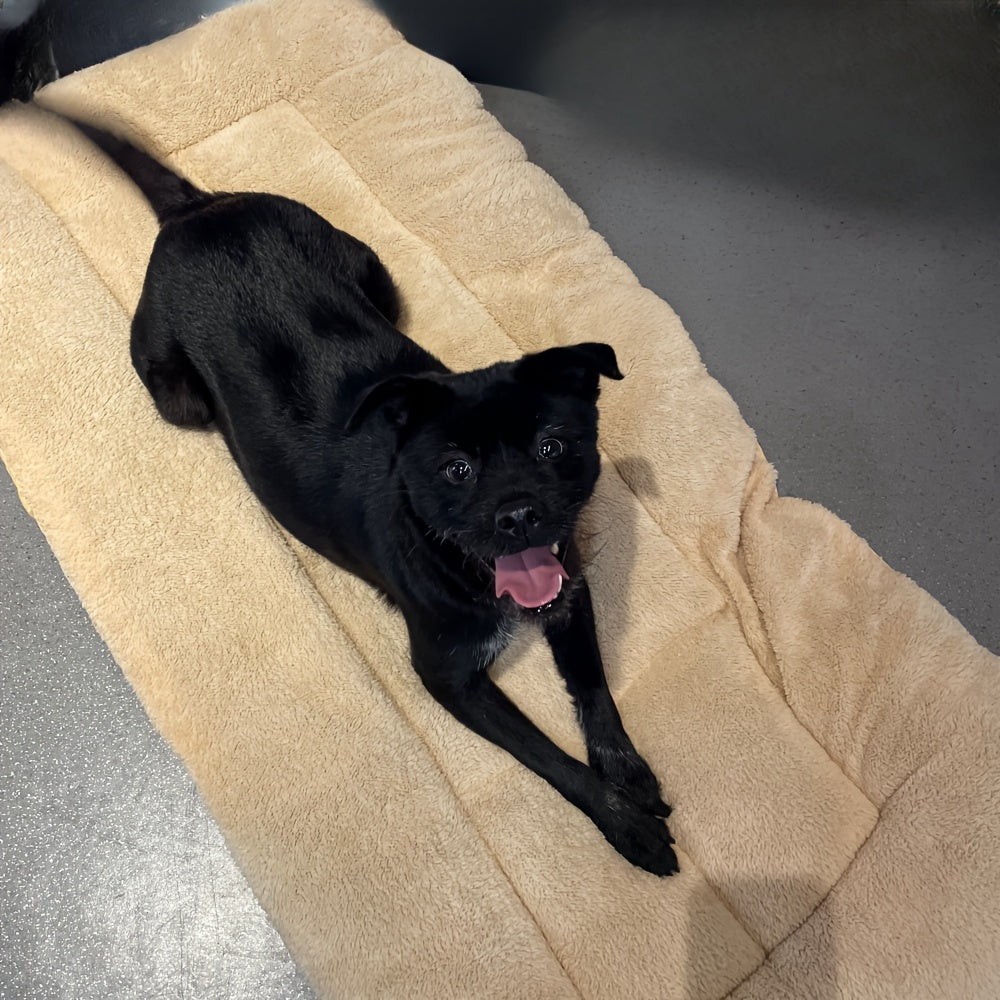 Cama Reversible para Perros, Gran Confort Todo el Año, 40kg