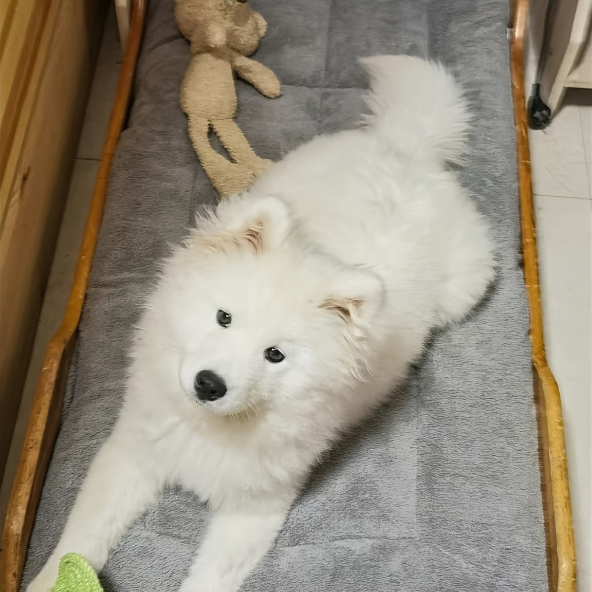 Cama Reversible para Perros, Gran Confort Todo el Año, 40kg