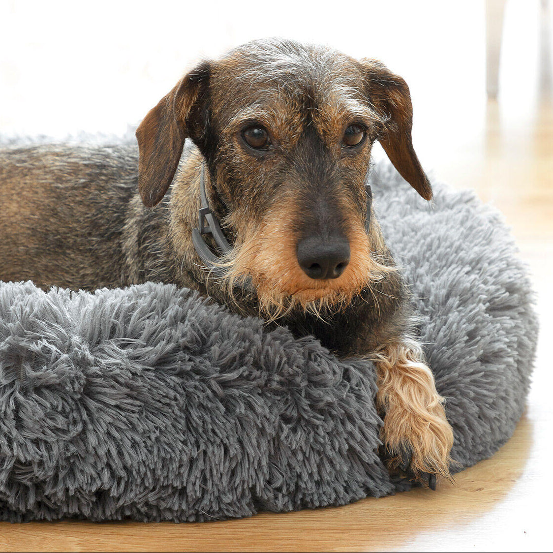 Cama redonda antiestrés para mascotas