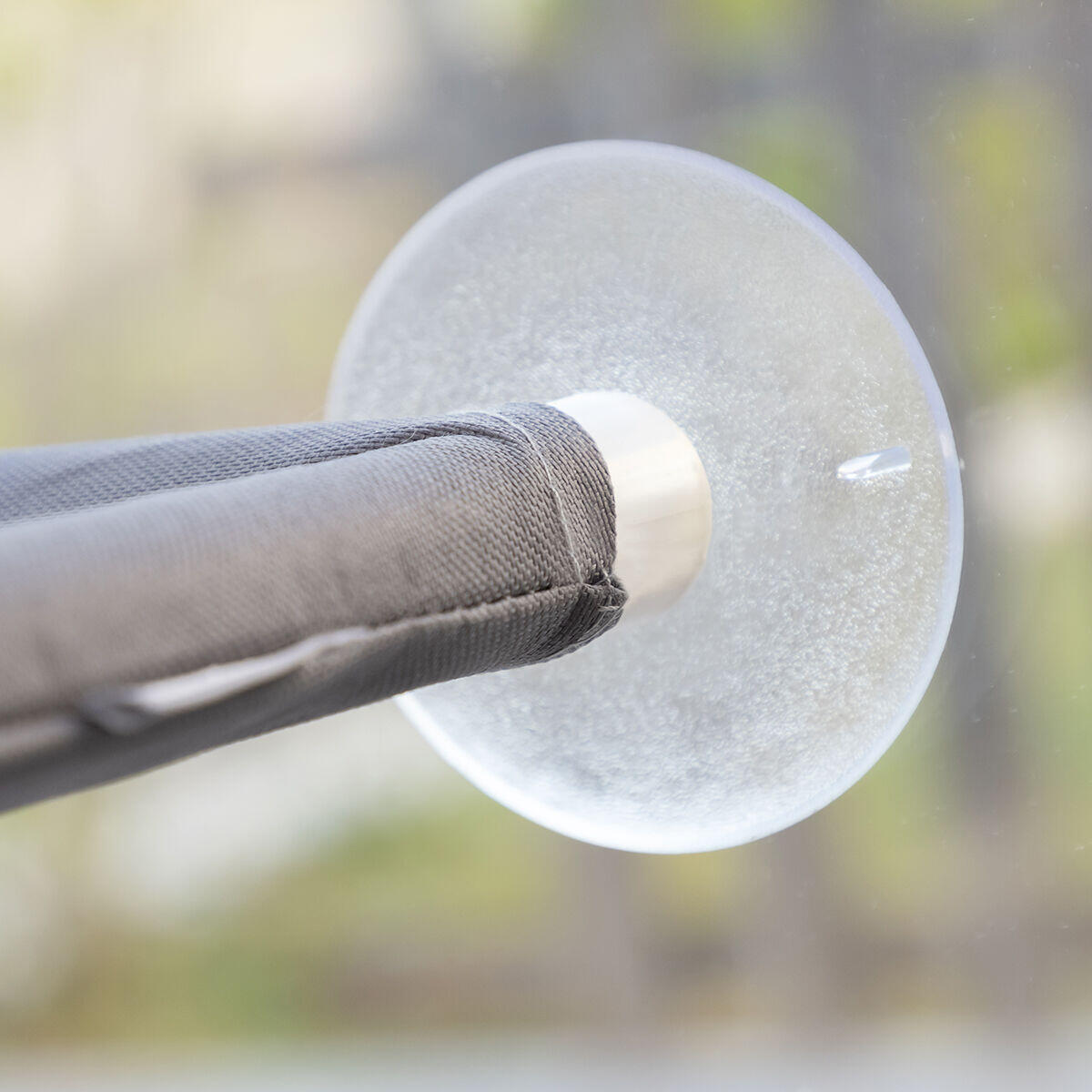 Hamaca colgante para gatos con ventosas