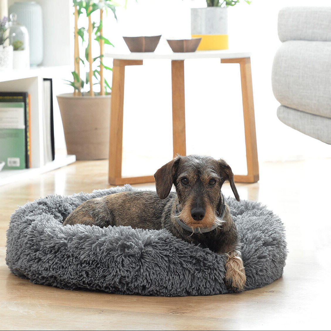 Cama redonda antiestrés para mascotas