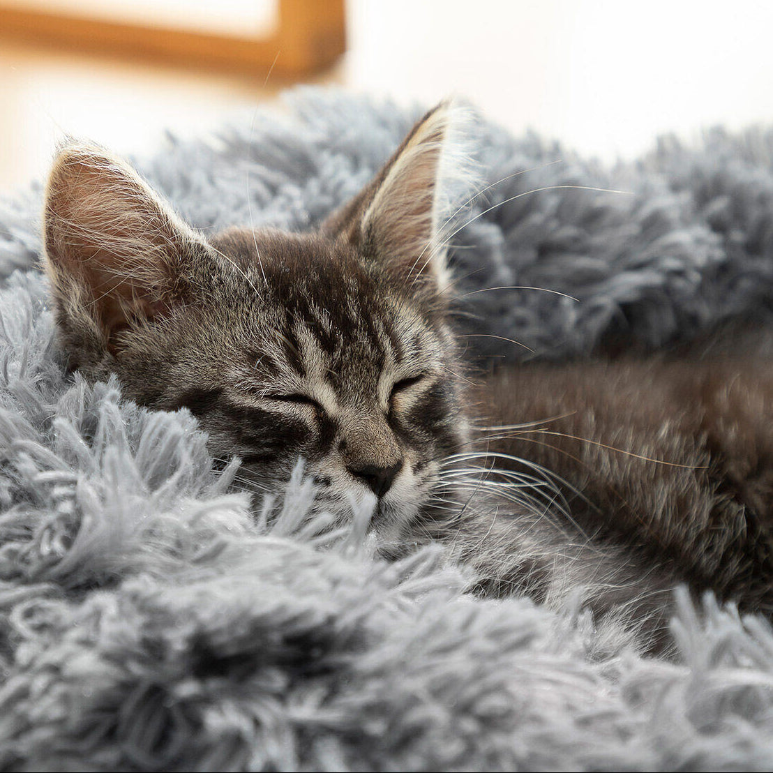 Cama redonda antiestrés para mascotas